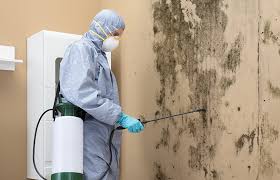 Best Mold Removal for HVAC Installations  in Beacon Hill, WA